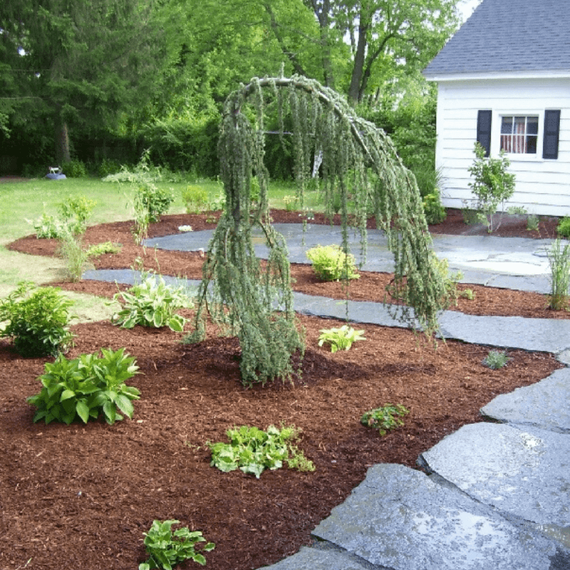 Landscape Maintenance